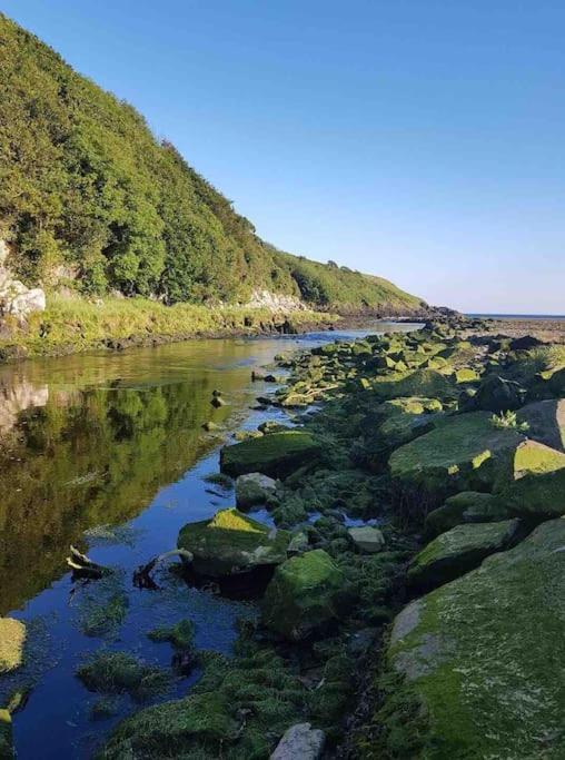Mounvaud Lodge Stradbally  Zewnętrze zdjęcie