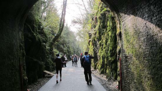 Mounvaud Lodge Stradbally  Zewnętrze zdjęcie